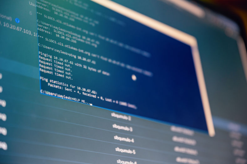 Shared Hosting